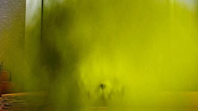 ElSharkoDiablos Gassy Obsession with Skunkchans Ass Expands Beyond Control in Skunkchans Gassy Expansion