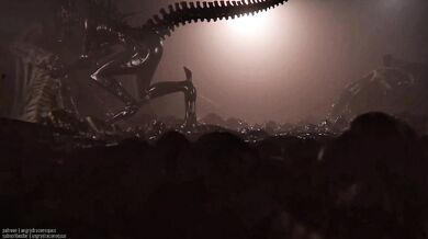 Serving the Queen 2: Royal Cock Sucking and Anal Sex