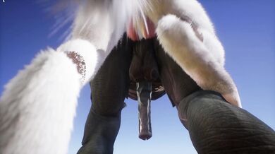 The Wolf of Hardcore Desire, Pounding the Gay Werewolf