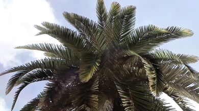 Young women with guns A threesome adventure Pornstar training camp