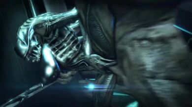 Love Hunt: The Alien Princess