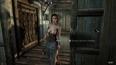 The Armorful Adventures of Fucking Ysalda