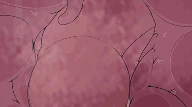 Pokemon: The Art of Fucking