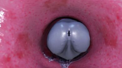 Watch this hot babe Shaity in Club Toilet Act 1 as she takes a dump, wipes her ass and then plays with herself