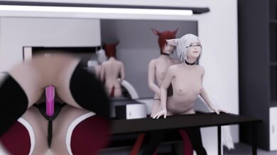 The First XXX 3D [XIV]