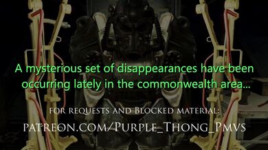 Fallout 4: A Paladins End (with captions)