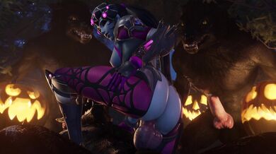 Write a short paragraph describing what you see in the image provided