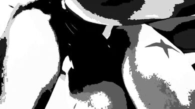 Aunties Adult Fantasies - Hard Horse and the MLP PMV [Reupload]