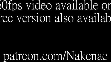 Wildlife - Beach Breeder