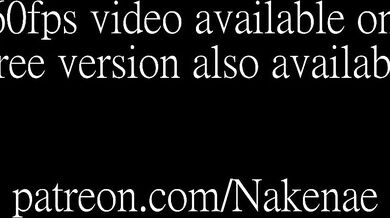 Wildlife - Beach Breeder