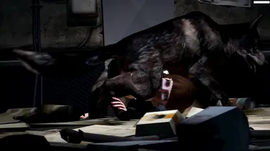 A Collection of Bestiality: Dogs and Bitches Fucking Compilation