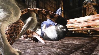 Watch two Khajiit girls get bred by lustful huskies in a hot pornographic video!