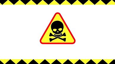 Breeding Rabbits: An Illicit Red-Light District Game of Survival