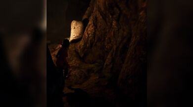 Exotic Explorer Plunges Too Far and Turns into Reproductive Plaything