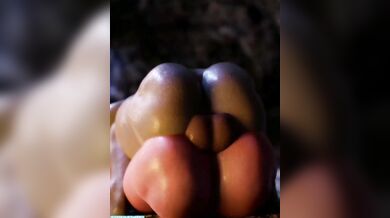 Cumming Home Alone 2: Broken 1