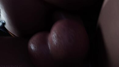 Sneaky Neighbor Steals the Show Written by Sara Smith