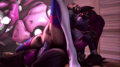 Heroes of the Storm - DVa and her Teacher Assignment