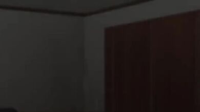 The Sexy Spy and the English Gentleman (Hentai Porn)