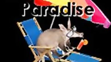 Rewind and Playback: The Lord Aardvark Erotica Tape