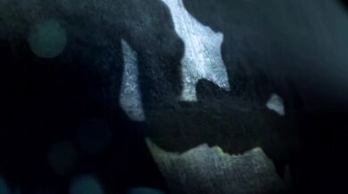 HMV （填词）Taimanin C2 Chaos Arena