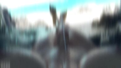 Watch as the sexy lady takes out her huge dildo and slides it slowly up and down her shapely thighs while browsing for the perfect HMV porn selection!