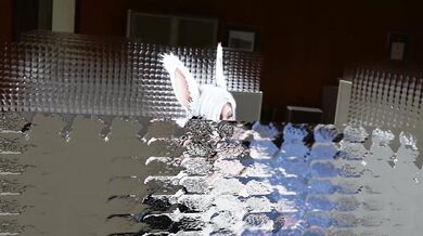 Minotaur Fucks Slutty Bunny Girls in a Hentai Adventure