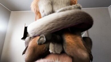 Sirens of Seduction - Kinky Kitties with Horny Hentai Tails and Claws (Horses and Foxes)