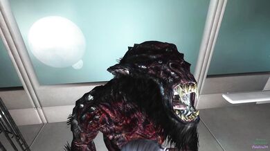 Lily gets trolled hardcore by a mysterious Pale Fire34!