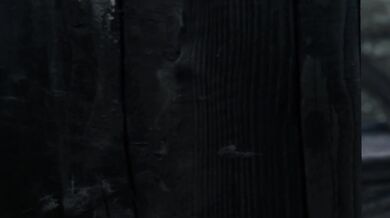 The Ultimate Cum Shot - Drenching a Horsecock in every Orifice