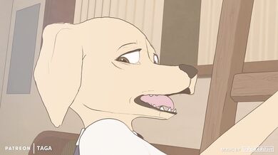 The Backdoor Labrador Gets Tagged