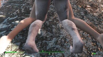 Hey guys, its me again with another exciting news about the latest Fallout 4 Sex Edition trailer You wont believe what youll see in this one!