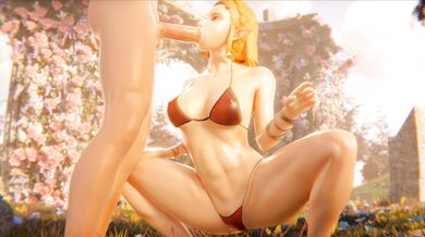 Breeding Zelda with Aggressive Hylian Swordsman for a Taste of Darkness