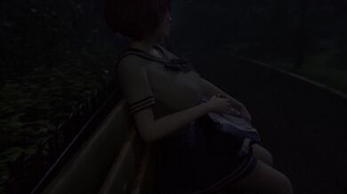 Honoka the Perfect Waifu: The Erotic Journey to Expressionism