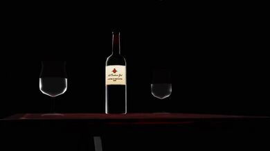 Twas the night before Christmas, and all through the roach hotel, not a creature was stirring, except for a lot of cockroaches