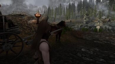 The Return of the King (2013)