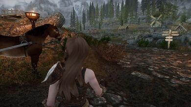 The Return of the King (2013)