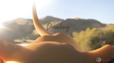 The lustful beast, prowling through the night, seeking its next prey