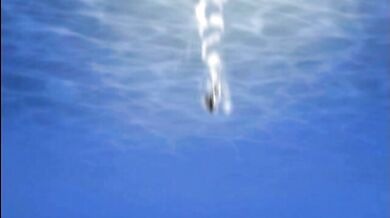 The Tentacular of Atelier Wadatsumi, starring the character voices