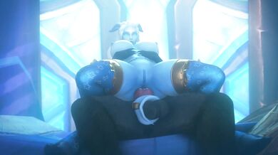 -------------------------