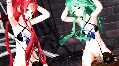 Insect Love: The Kinky Bug Couple