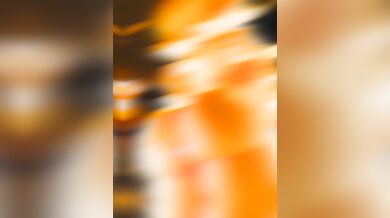 'Fantasy Desire - The Temptation of the Night Elf'