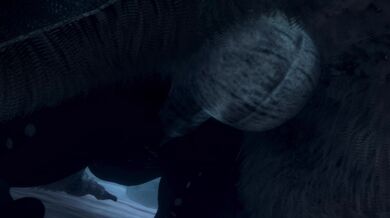 "Beware the Troll's Cumshot!"