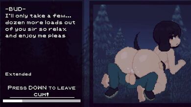 "The Succubus Hunter: Bud's Adventure in the Hentai Wilderness."