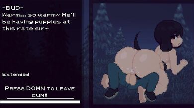 "The Succubus Hunter: Bud's Adventure in the Hentai Wilderness."