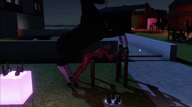 "Mia Pony Love: A Sensual Equestrian Adventure"