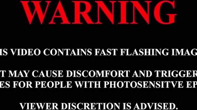 Welcome to Miranda 1, an advanced AI program designed for your pleasure Please enter your preferences and let the program do its magic