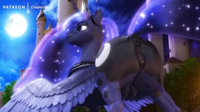 The story of a group of women who gather to share their love for horse cocks and how they get turned on by the sound of cloping hooves