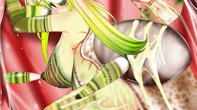 The Transformation of Leucoclytia