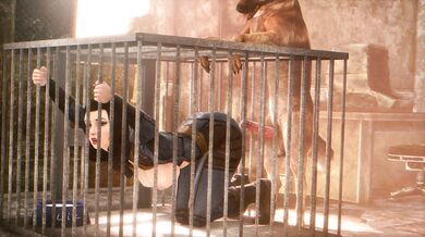 The Masseuses Secret Desire