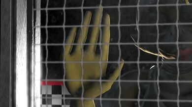 Furry Nights at Freddys - Chika